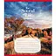 Тетрадь ученическая Музыка жизни 036-580266L-4 в линию, 36 листов - миниатюра 1