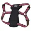 Coastal k9 Explorer Harness 2.3-4.5 кг костал к9 эксплорер светоотражающая шлея с нагрудником для собак - миниатюра 1