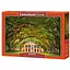 Пазл Castorland Дубовая аллея 1000 эл. (C-104383) - миниатюра 1