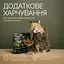 Лакомства хрустящие Savory Cats Snacks Crunchy Balls Для взрослых привередливых котов шарики с кошачьей мятой 60 г - миниатюра 3