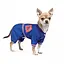 Дощовик Pet Fashion Silver для собак, розмір L, синій - мініатюра 2