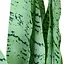 Штучна рослина Sansevieria 65 см (DW-11) - мініатюра 6
