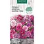 Насіння Гвоздика Насіння України Китайська Махрова (суміш) 0.2 г (779200) - мініатюра 1