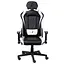 Ігрове крісло 1stPlayer FK2 Black White (FK2-BKWH) - мініатюра 1
