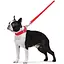 Поводок Dog Extreme из нейлона двойной (ширина 20мм, длина 122см), красный - миниатюра 6