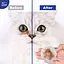 Салфетки влажные Pet Clean Eye & Ear Wipes для гигиены глаз и ушей домашних животных 50 шт. - миниатюра 6